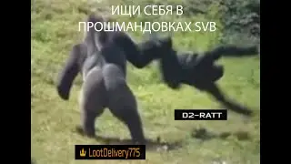 D2 Rat killer. Escape from Tarkov.