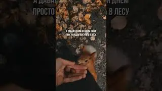 Подробности у нас в телеграм канале https://t.me/veganstravel