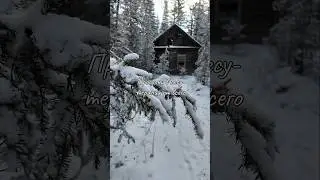 Изба в лесу. В Сибири уже зима ❄️❄️❄️
