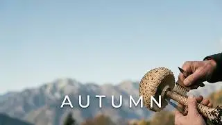 Autumn is coming! Chestnuts, Wild mushrooms and Vino cotto the real Mountain life