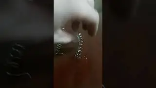 про торсионы террано и др авто