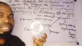 PROTANDRY AND PROTOGYNY IN FLOWERS