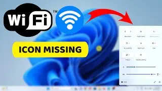 Wi-Fi not showing in windows 11/10