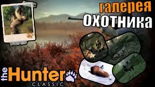 Что Такое Галерея Охотника The Hunter Classic