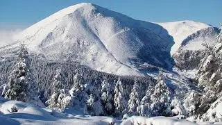 Буковель 03.02.25 @bukovel_oleg