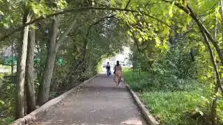 Эльфийский лес, дорога через Боярышник, осень 2024, 🍁🍂🍁