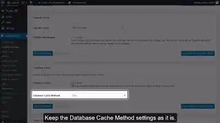 Setup W3 Total Cache in WordPress | VeeroTech Hosting