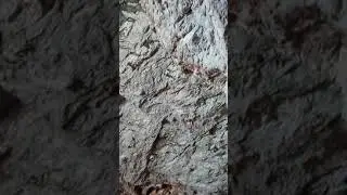 Ақмешіт үңгірі, 8 сәуір 2021ж.