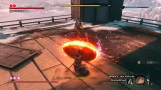Genichiro no damage
