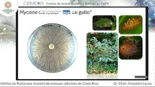 V encuentro de experiencias 2024 08 26