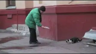 Наталья Фатеева кормит кошек