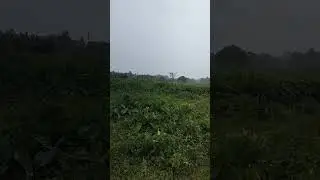 #rain