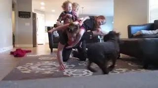 DANGEROUS GAME FOR KIDS AND DOGS
