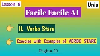 Facile Facile A1| Lesson 8 |IL Verbo STARE| with Urdu by Learn with Jannat 1