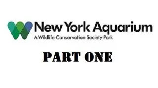 New York Aquarium Full Tour - Brooklyn, New York - Part One