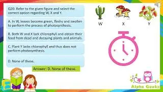 Quiz on Adaptation of Plants - Module 2 (Chapter 1 - Olympiad Class 4 Science)