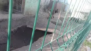 17 мая 2021 г.