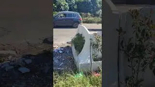 Вокруг мусорки посажены растения,отличная идея!/Plants were planted around the trash can,great idea!