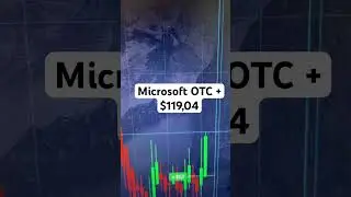 Microsoft OTC +$119,04 