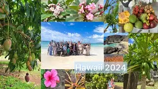 Family Vacation: Hawaii 2024