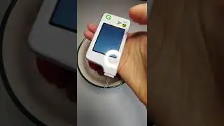 28 05 2023 Клубника. Проверка на нитраты