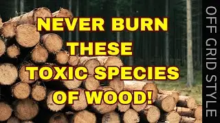 Toxic Wood Species You Should Never Burn