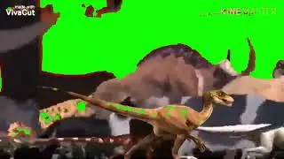 Various Animal Stampede Green Screen for 