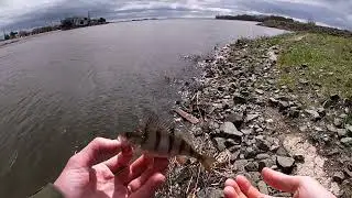 Рыбалка на мормориги тот же мормышинг.