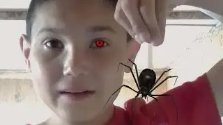 отвечай или страдай челлендж игра