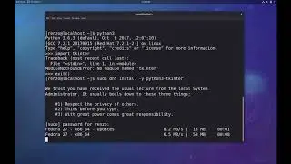 TKinter no Fedora Python Birds