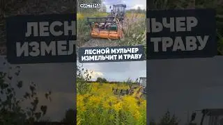 ЛЕСНОЙ МУЛЬЧЕР ИЗМЕЛЬЧАЕТ ДАЖЕ ТРАВУ