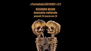 #TertuliaILLUSTRATI #21: BIZZARRO BAZAR. Anatomia culturale.