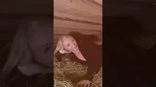 Тест-драйв бани на Рублево-Успенском шоссе от Даши😏😻