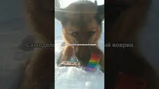 Рокси топчик #рекомендации #tiktok