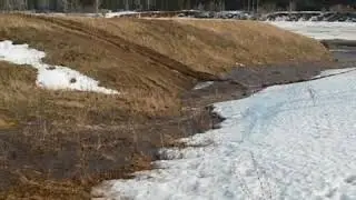 Вселенский потоп)