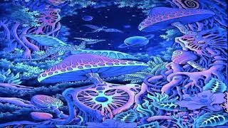 Rook - Psytrance Rajanje [Mizzart 2020] ᴴᴰ