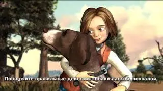 Дрессировочный ошейник введение / советы по тренировке
