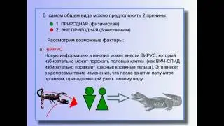 КОБ   Глобальный Исторический Процесс