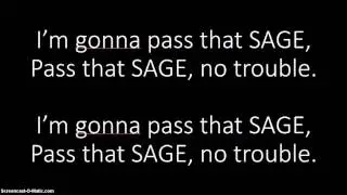 Pass That SAGE Updated Full Version