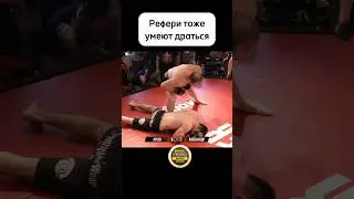 Рефери нокаутировал Дагестанца. 