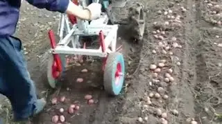 🔥Картофелекопалка самодельная 2023г. 🔴НОВЫЙ  способ копать! Ошибки 😞