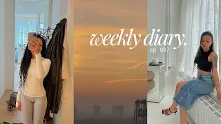 manifesting my dream apartment, cider haul, journal with me, cleaning my apartment. — weekly diary