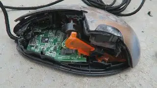 Dino Smashes Gaming Mouse