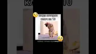отправь потеряшке. 