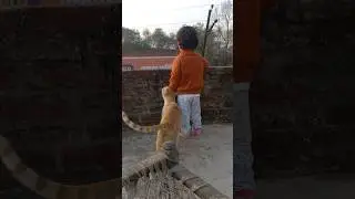 Cat ke sath rhte rhte aadvika bhi cat ki jaise bolne lgi😃#viral #trending #cutebaby #animals #cat