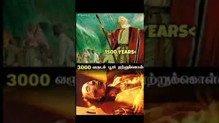 அல்லாஹ்வின் அத்தாட்சி