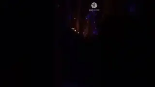 dekorasi pohon dan hiasan Natal🌲