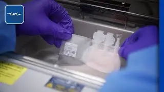 How to Thaw Cells in a Cryopreserved Leukopak