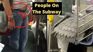 Times People Spotted Such Strange Things On The Subway