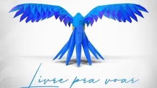 Samantha Machado & Claudinho Brasil - Livre Pra Voar